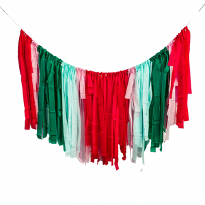 FRINGE BACKDROP Red, Green, Light Pink, Mint