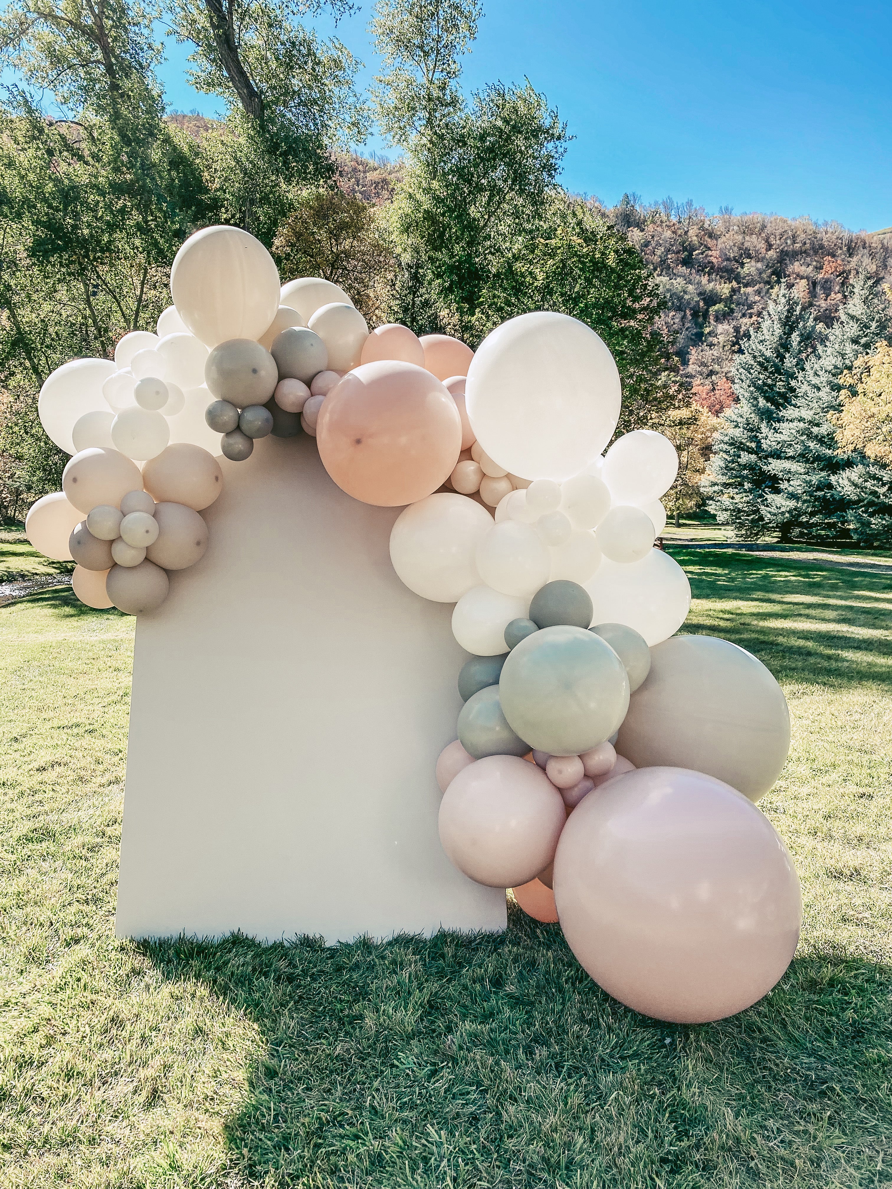 PACKAGE PRICING 10’ Standard bOp Balloon Garland