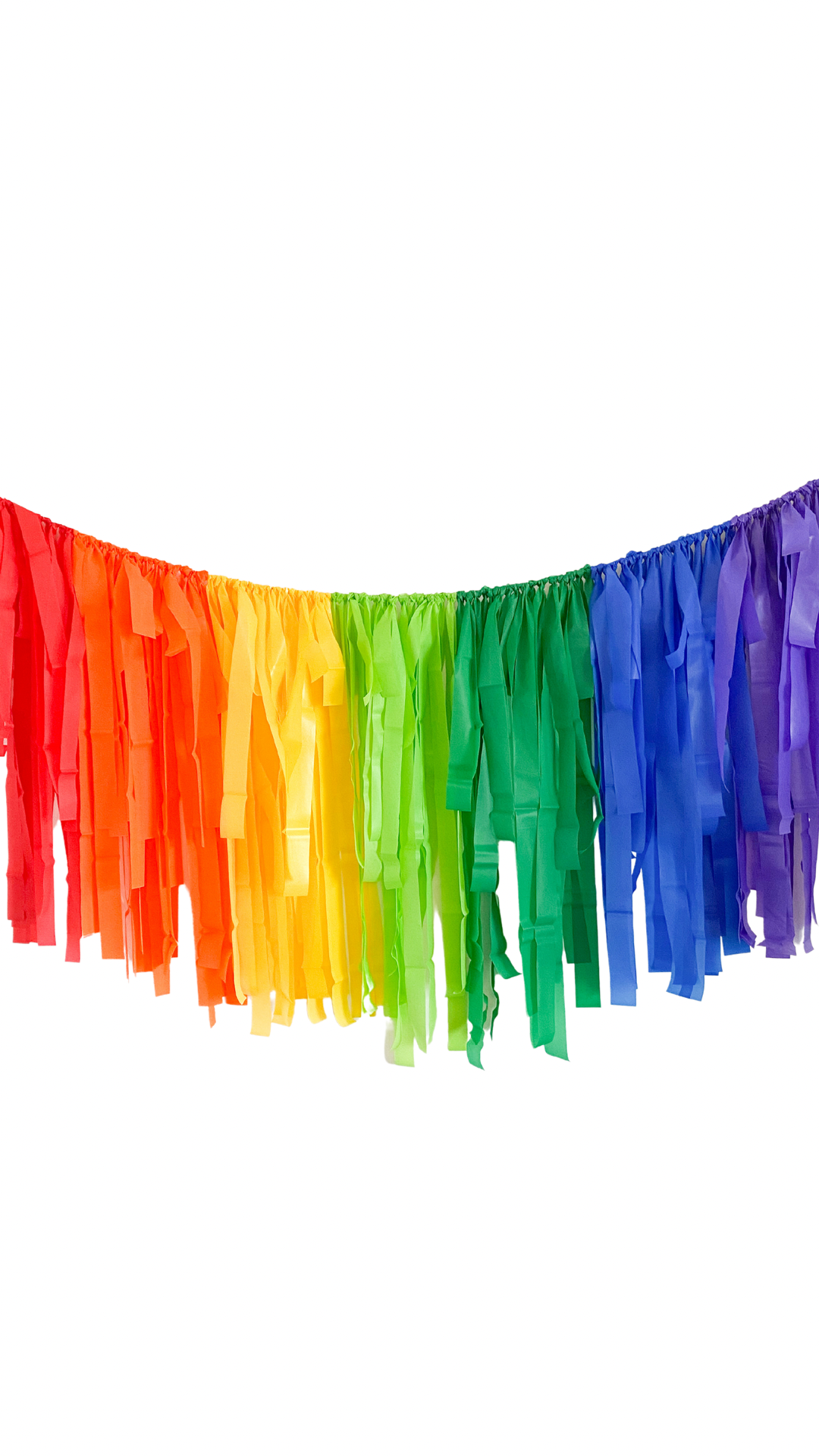 Rainbow Party Plastic Fringe Backdrop | Plastic Streamers
