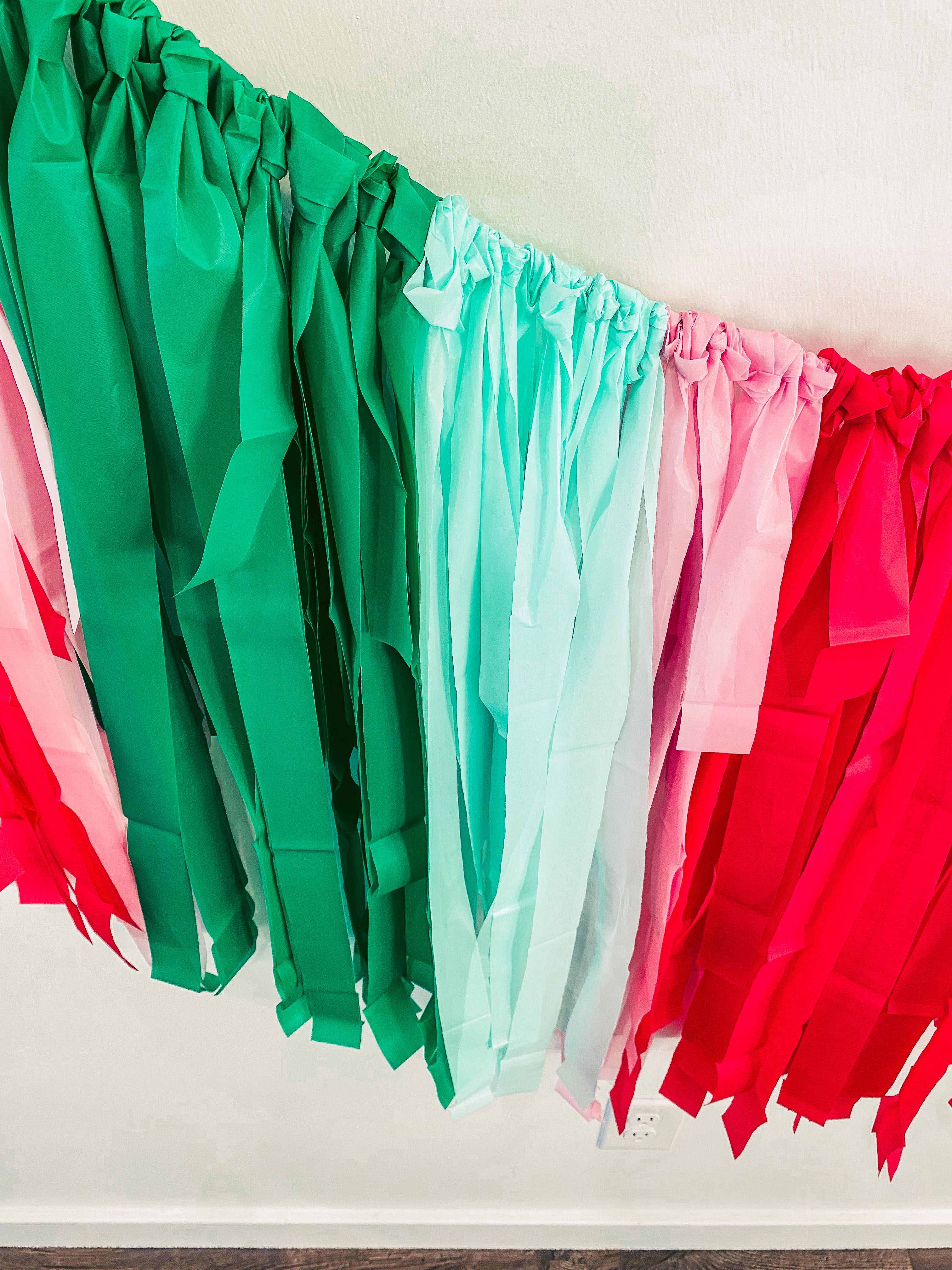 FRINGE BACKDROP Red, Green, Light Pink, Mint